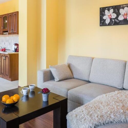 Apartament SZCZĘŚLIWA 13