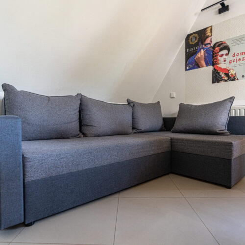 Apartament Literacki