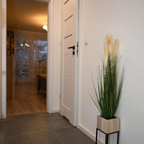 Apartament Niezapominajka