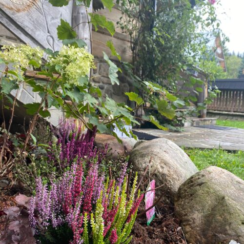 Domek Sweet Home Sweet