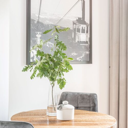 Willa Maja- apartament 3