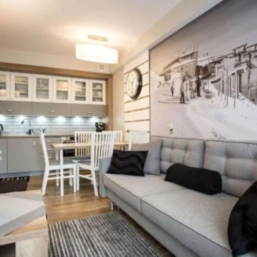 Apartament Stara Polana – WIŚNIÓWKA